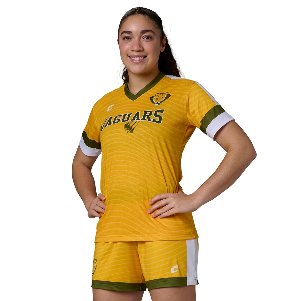 Custom Juice V-Neck Short Sleeve T-Shirt JSBJ2_SPORTSWEAR jersey image